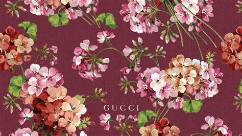 gucci wallpaper floral